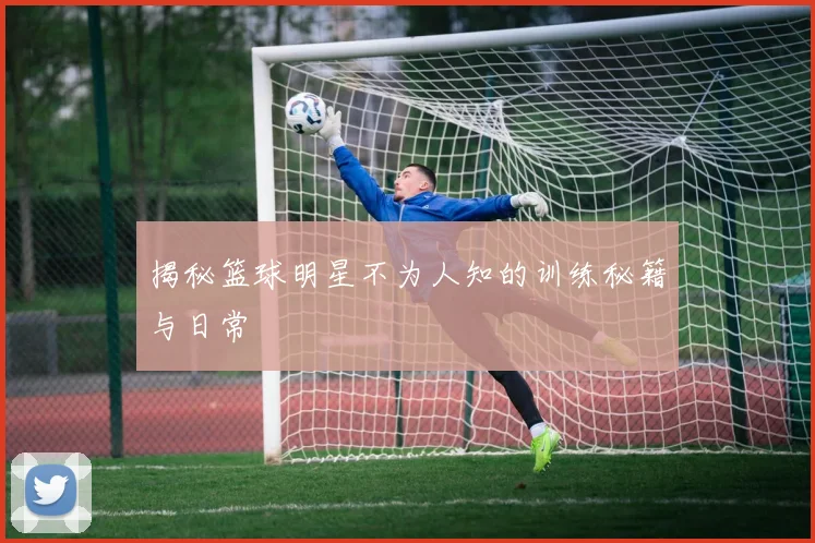 揭秘篮球明星不为人知的训练秘籍与日常