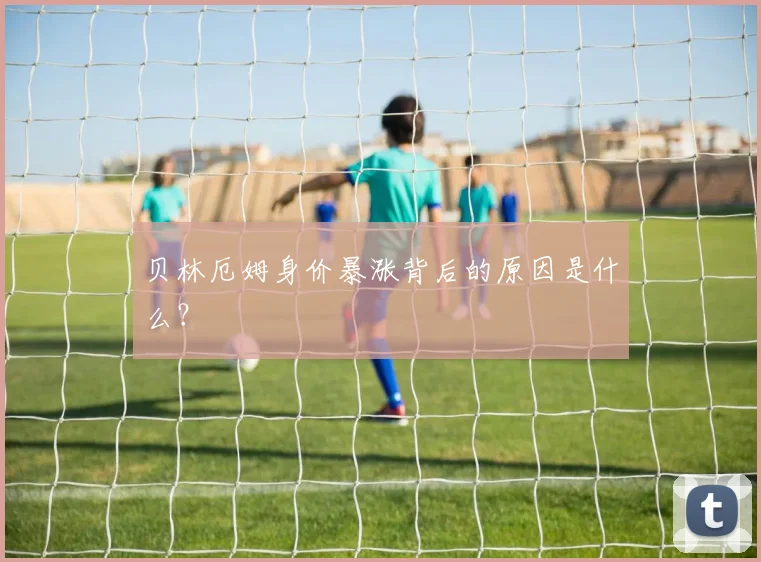 贝林厄姆身价暴涨背后的原因是什么？